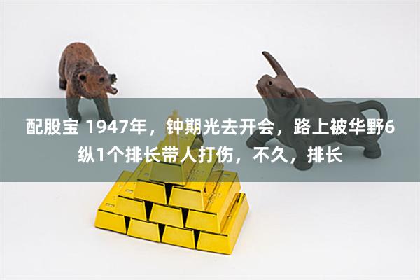 配股宝 1947年，钟期光去开会，路上被华野6纵1个排长带人打伤，不久，排长