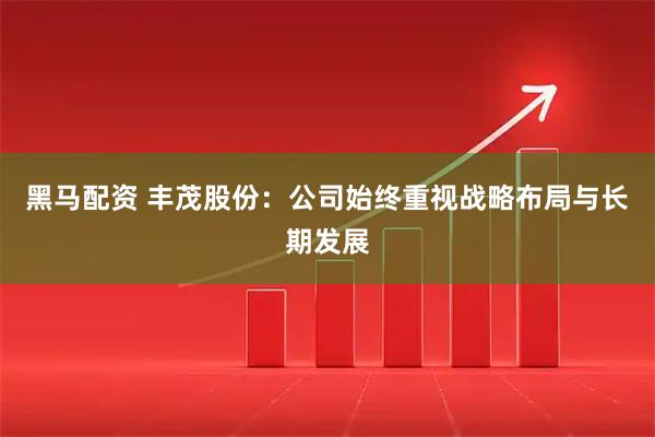 黑马配资 丰茂股份：公司始终重视战略布局与长期发展