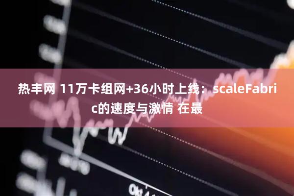 热丰网 11万卡组网+36小时上线：scaleFabric的速度与激情 在最