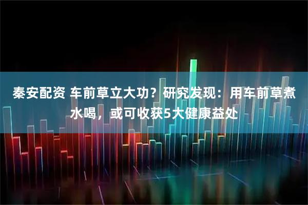 秦安配资 车前草立大功？研究发现：用车前草煮水喝，或可收获5大健康益处