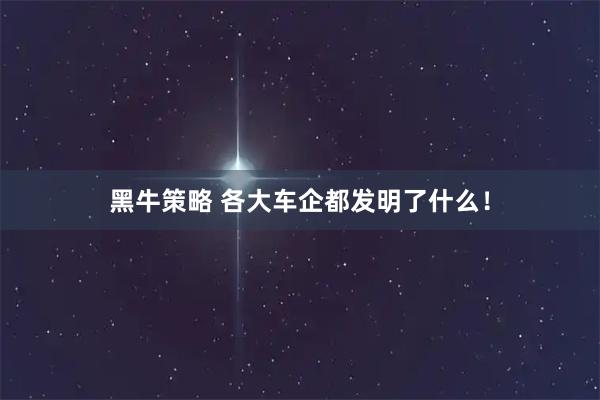 黑牛策略 各大车企都发明了什么！