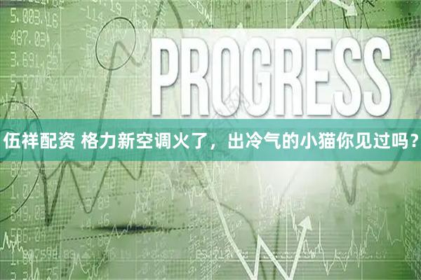 伍祥配资 格力新空调火了，出冷气的小猫你见过吗？