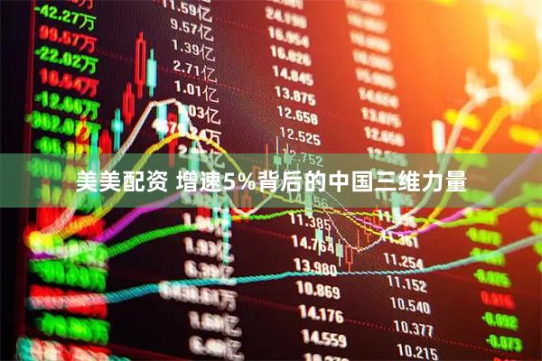 美美配资 增速5%背后的中国三维力量