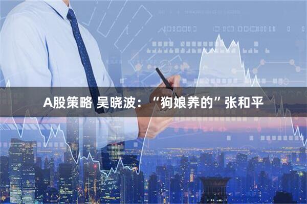 A股策略 吴晓波：“狗娘养的”张和平