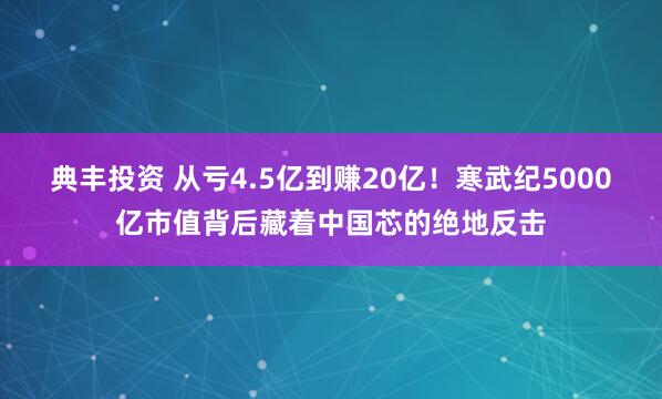 典丰投资 从亏4.5亿到赚20亿！寒武纪5000亿市值背后藏着中国芯的绝地反击