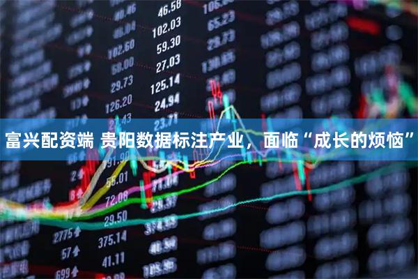 富兴配资端 贵阳数据标注产业，面临“成长的烦恼”