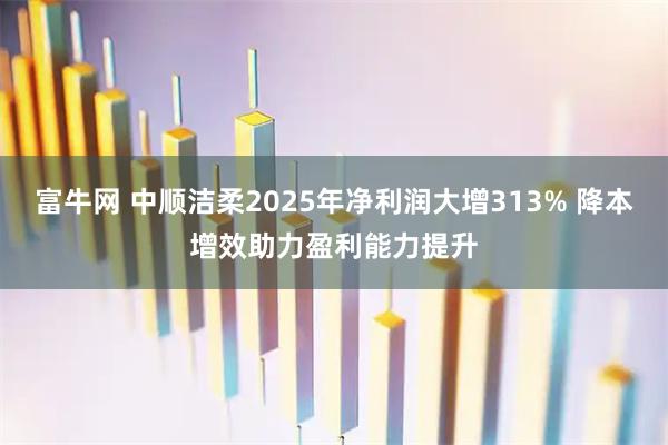 富牛网 中顺洁柔2025年净利润大增313% 降本增效助力盈利能力提升